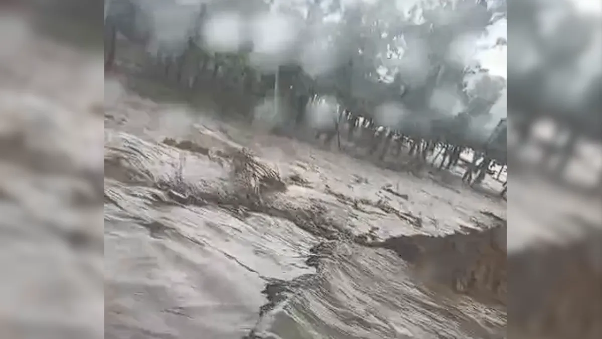 Şirket kanal ve drenaj sistemlerinin araştırmalarını yürütmektedir